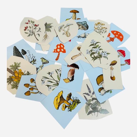 Nature Mushrooms and Flowers Stickers Lot 30 - Picture 1 of 2